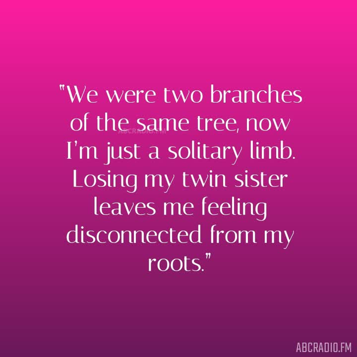 LOSING A TWIN SISTER QUOTES –