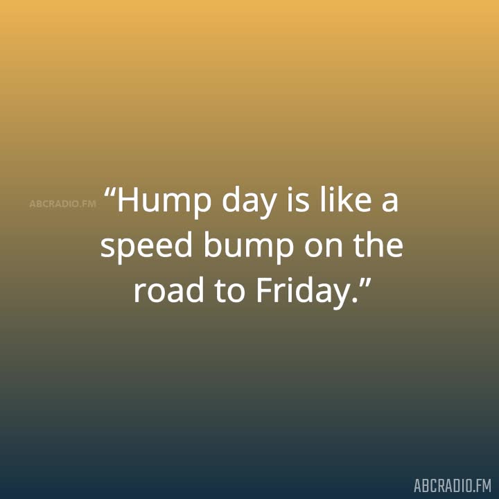 funny wednesday hump day quotes